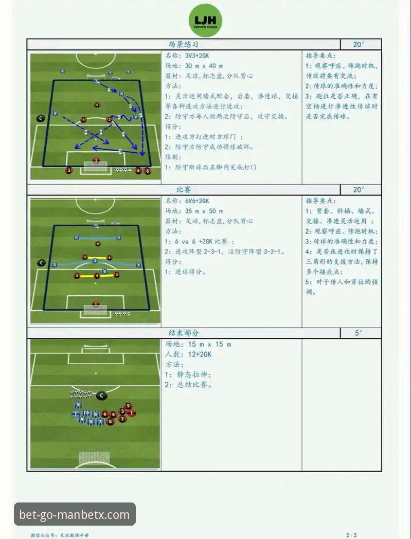 狗万ManBetX最新版下载安卓版 如何深度解析一场关键赛事:以意大利世界杯出局为例的操作教程