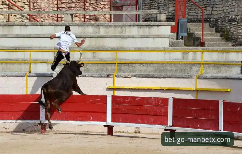 揭秘狗万体育平台最新版本：老用户亲述v2.6.0的真实体验与投注全流程