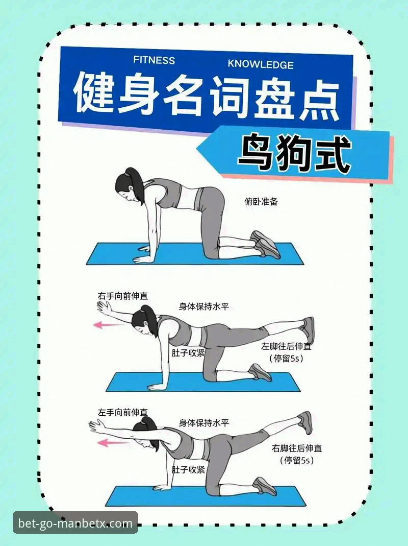 狗万体育平台使用教程与常见问题详解